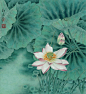李科宏工笔作品选 - 【工笔画欣赏】 - 【中国工笔画论坛】 |工笔画|工笔画视频|工笔花鸟|工笔山水|工笔人物| - Powered by Discuz!