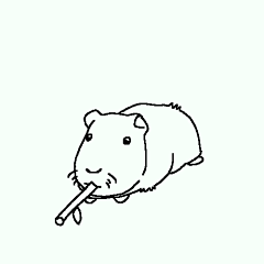 木星一采集到哈哈哈哈