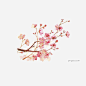 手绘优美古风一枝梅花可商用元素图片大小2000x2000px 图片尺寸1.1 MB 来自PNG搜索网 pngss.com 免费免扣png素材下载！插画#古风#花卉#梅花#手绘#唯美#植物#中国风#装饰图案#