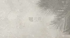 棕榈叶在水泥墙背景下的阴影，以复古风格和空间书写图形设计或墙纸的讯息。列报的复述模板