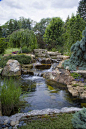 Ultimate Backyard Oasis with Pond and Waterfall - Garden / Yard - House Exterior