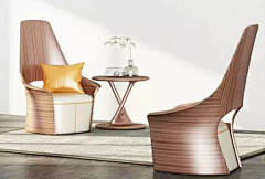 艾书龙专注家具设计采集到休闲椅 类