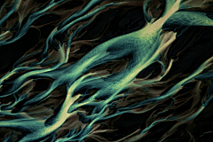 aurora_采集到杂货铺