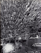 NYC Bird's Eye View