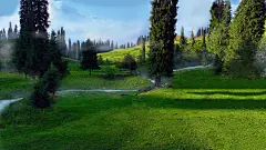 风景 绿色草地 树 ˮ 蓝天 护眼 4k 高清 壁纸_彼岸图网