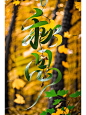 SD AI造字-秋思（保姆级教程）