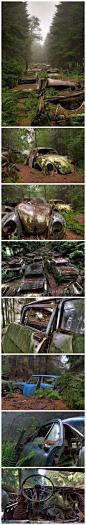 世界上最大的“汽车墓园”之一，比利时的Chatillion Car Graveyard，据传是二战时期的美国大兵留下的车，战争结束之后带不回国，所以就把车藏在密林深处，想有朝一日能寻回，有一种交通堵塞时遇上末日浩劫的即视感