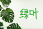 贼怼怼 字体设计  绿叶 字体帮填字游戏投稿