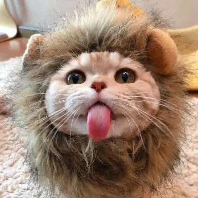 vvaaaa