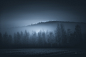 Ethereal Silence : Ethereal silence captured in photos of finnish forests and trees.