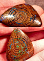 This semi-precious stone is fascinating. A rare opal, sprouting in a piece of petrified wood.