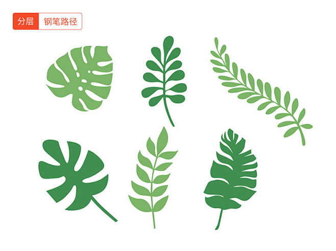 矢量叶子,叶子,绿叶,春天,春季,春,叶...
