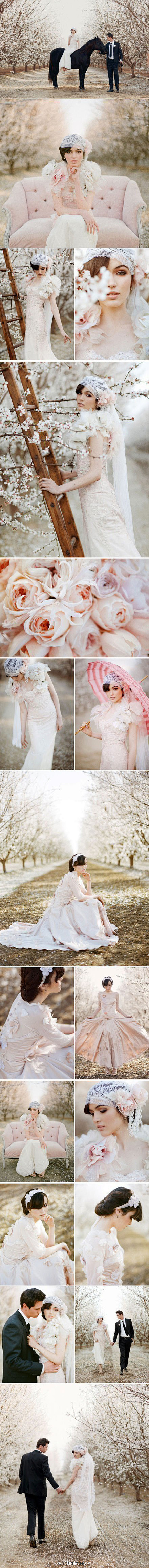 杏花树下超美的婚纱照，浪漫到极致~
