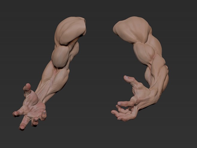 Anatomy Arms, Pablo ...