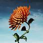 3D c4d cinema 4d color Digital Art  floral Flowers octane redshift Render