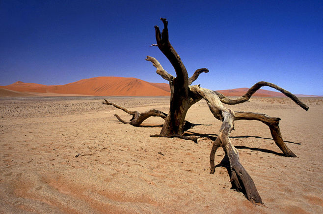 NAMIBIA, Namib Naukl...