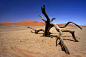 NAMIBIA, Namib Naukluft National Park, Sossusvlei by Laura Bertonazzi on 500px