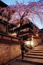 Cherry Blossom, Higashiyama, Kyoto, Japan