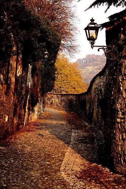 Autumn  in lonely pa...