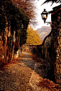 Autumn  in lonely path, Brescia, Italy