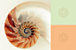 Dra. M. Teresa Cruz Romero : Brand identity for a psychotherapist.
