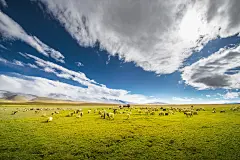 高清壁纸 高清白云 蓝天白云 高清大图 高清风景 大图蓝天 大图白云 白云 云 乌云 阴天 晴天 合成天空 合成白云 合成背景[ QQ群61686914 ] 加群！！素材软件插件免费送！！！@赤鹿教育