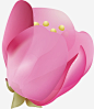 手绘樱花花瓣_新图网 https://ixintu.com 花瓣 手绘 樱花 花朵 花蕊