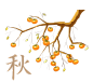 柿子树素材 png