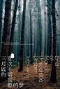 其中包括图片：Search Projects