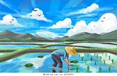 手绘插秧的人芒种原创插画素材图片素材