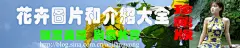 (3)[转载]花卉图片及介绍大全_春风春雨春燕_新浪博客