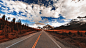 landscape photography of gray ashaplt road between green leafed trees and brown grasses under cloudy sky during daytime