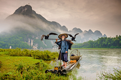 小鹅怎么叫采集到桂林