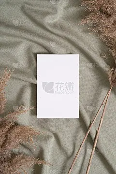 白色空白纸卡片模型与蒲苇干草绿色中性色纺织品