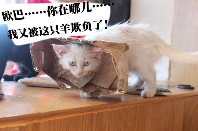 今天,带这两臭孩子去医院……大夫给开了药...