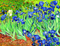0004_梵高_04梵高鸢尾花(90x70)-世界名画高清调色版套图20幅TIF_5315x4134PX_TIF_150DPI_65_0