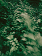 amritansh-dubey-XPwau36g4x8-unsplash