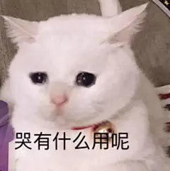 一组超可爱猫咪表情包合集  #表情包# #今日最佳# #搞笑图片# ​