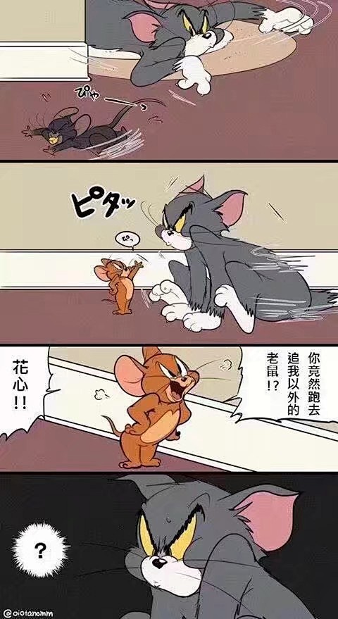 猫和老鼠汤姆杰瑞同人图