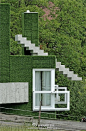 景观||垂直绿化设计