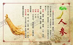 人参 【酷图网】人参,人参海报,人参广告,野生人参,山参,野生山参,长白山人参,土人参,人参画册,正宗人参,野山参,中药人参,野人参,人参花,高丽野人参,人参挂画,人参挂图,长白山参,东北人参,东北野山参,中药,千年人参,人参功效,人参DM单,人参传单,人参宣传单,人参养生,高丽参,人参素材,人参展板,人参宣传