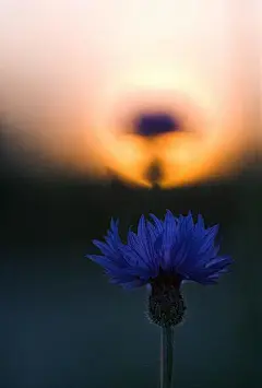 夜太美，那不寻常的美，我要去看看_手机壁纸_妹子图萌