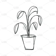 素描风格手绘无花果树或蜘蛛抱子室内植物，盆栽橡胶树图标，贴纸，标签。向量孤立的插图。