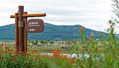 无聊axy采集到导视