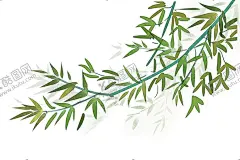 水墨竹子 【酷图网】水墨竹子,富贵竹素材,富贵竹元素,富贵竹背景,富贵竹图片,竹子,竹子素材,竹子元素,竹子背景,竹子底纹,矢量竹子,竹,竹素材,竹元素,竹背景,矢量竹,竹报平安,手绘竹子,高清竹子,中国风竹子,植物竹子,竹林