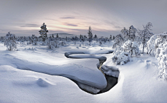 没有睡觉采集到背景-雪地