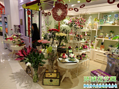 四月的风信子采集到花店