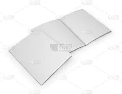 两个目录空白封面和内页模拟。