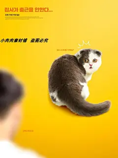 可爱宠物猫咪狗狗和人相处生活工作海报画报PSD设计模板psd505-淘宝网