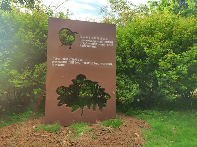 怡宝做的植物标识牌